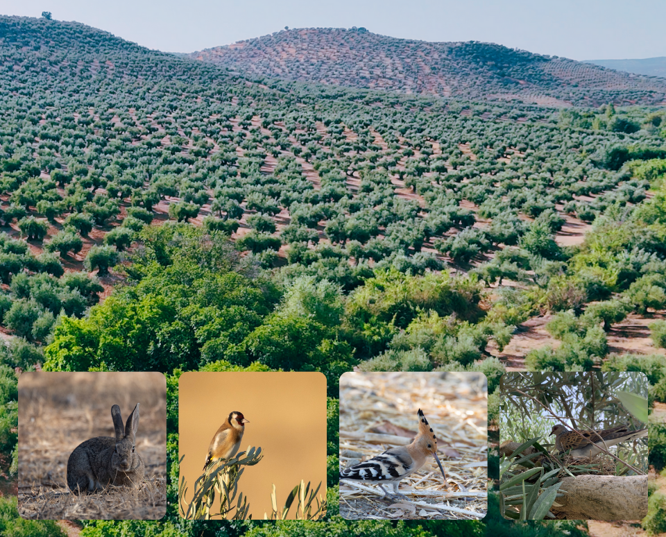 Post de Instagram Talleres de Artesanía Minimalista y Sencillo Negro y Blanco (3)