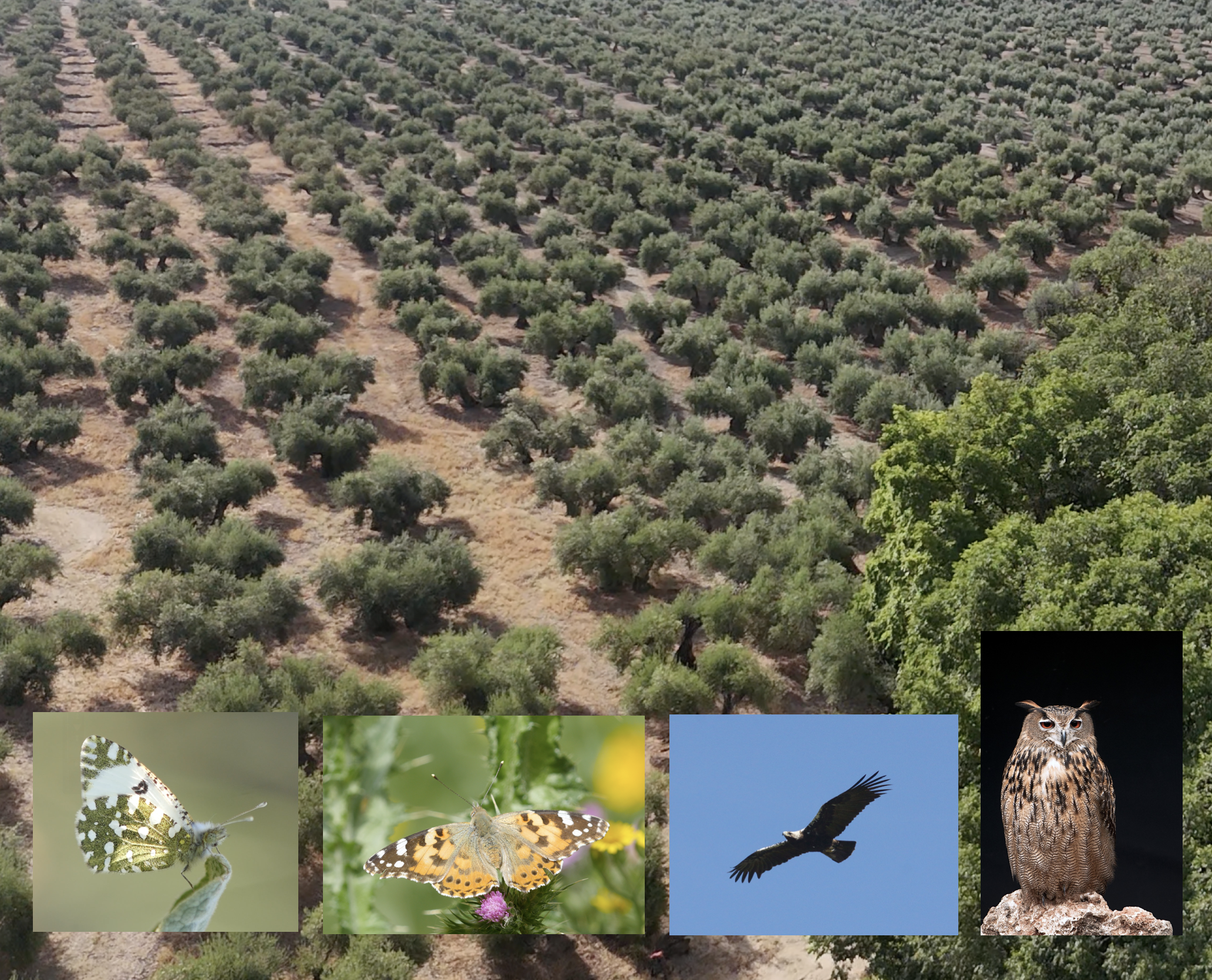 Captura de pantalla 2025-12-03 a las 17.59.34